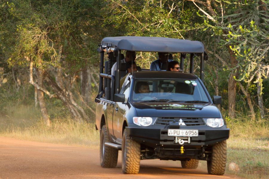 mahoora safari jeep at wilpattu national park in sri lanka 