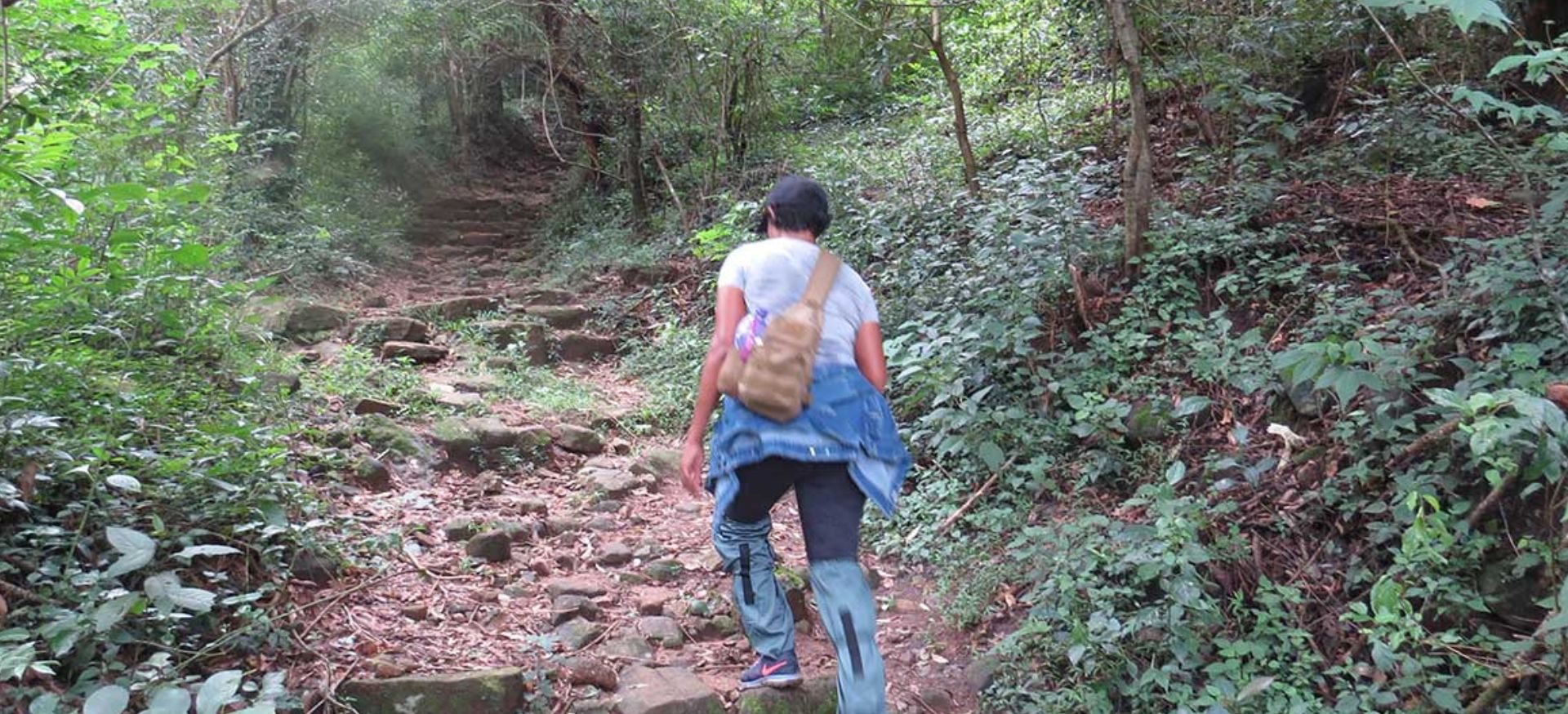walking trail at knuckles nature reserve  in sri lanka 