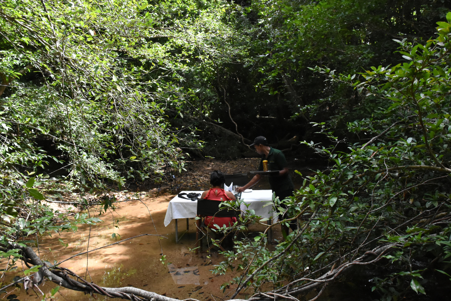 dining experience at sinharaja rain forest in sri lanka 