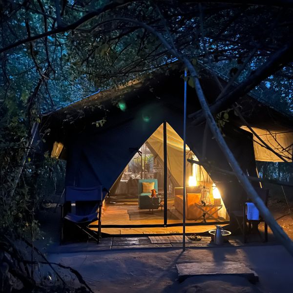 Mahoora Elite Tent Exterior View - At Yala National Park Sri Lanka