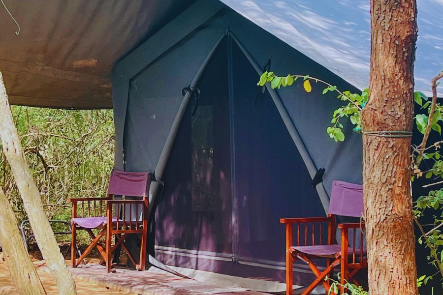 outside view at mahoora tented safari camps yala national park in sri lanka