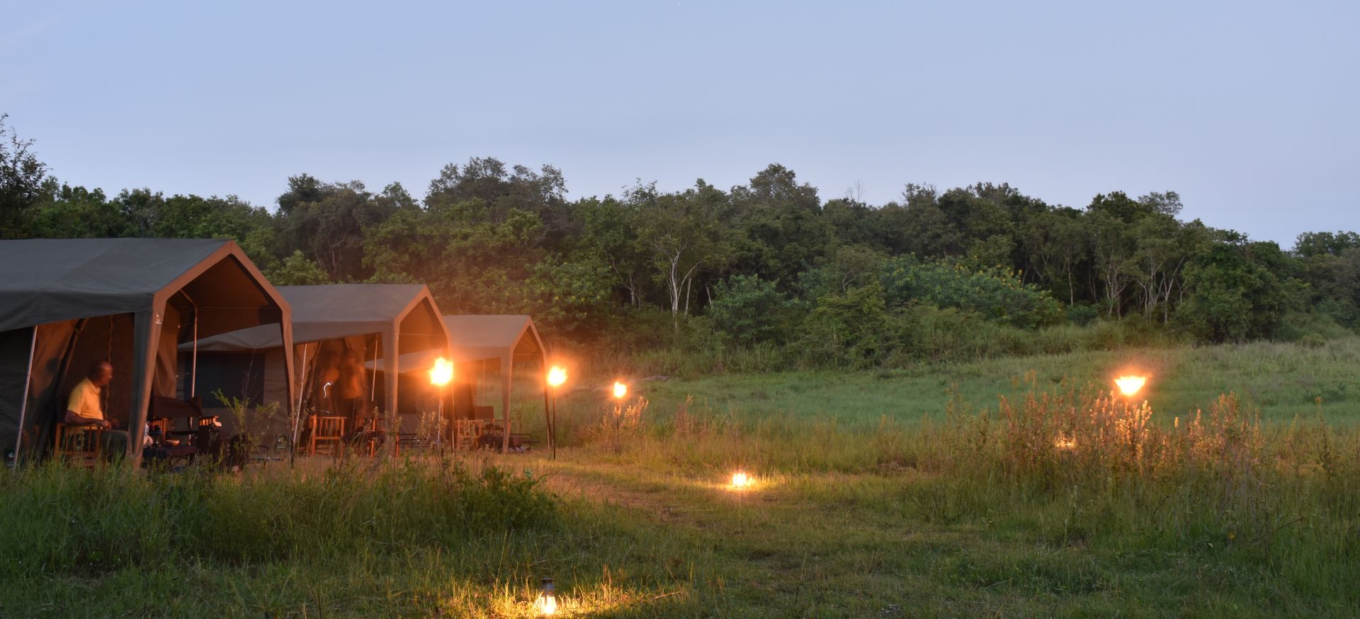 night view at explorer by mahoora maduru oya national park in sri lanka 