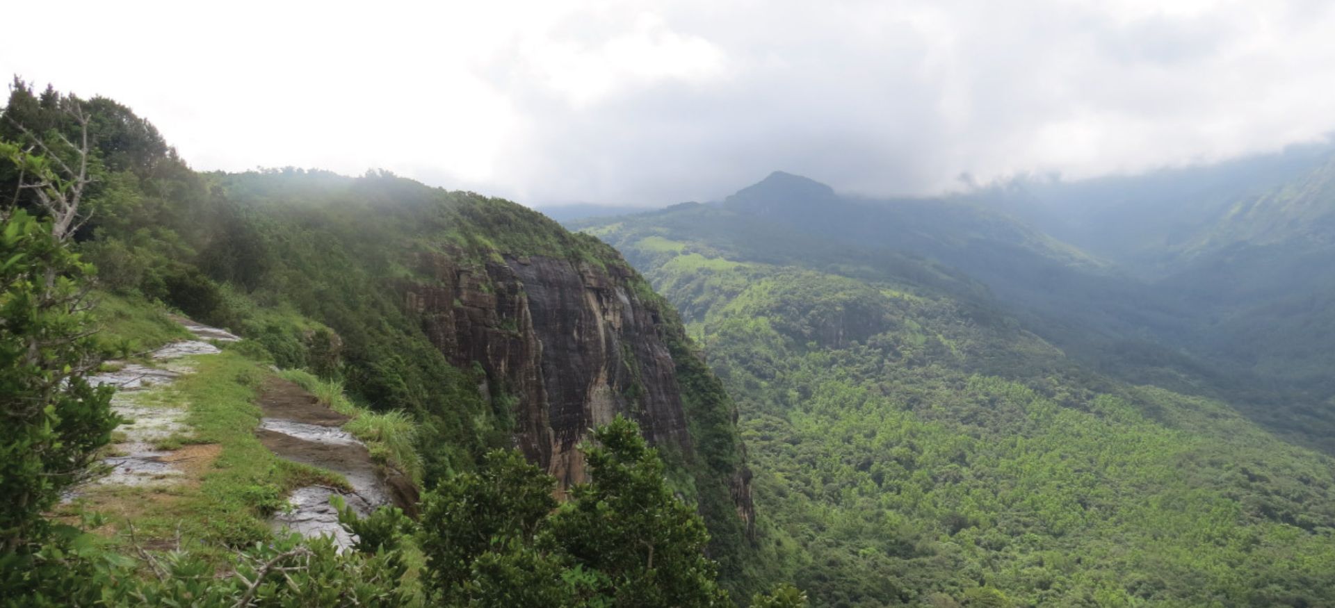elephant's head at knuckles nature reserve in sri lanka