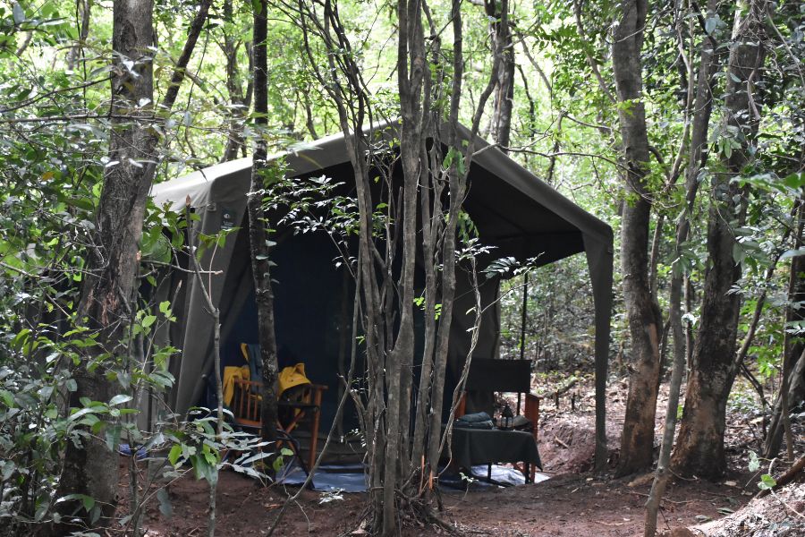 a mahoora tent at explorer by mahoora knuckles in sri lanka