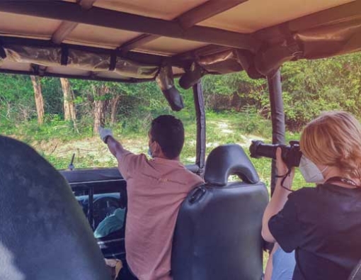 All what You need to know about Planning a Wildlife Safari in Sri Lanka