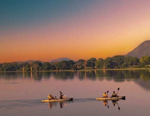 Beyond the Jeep: Unique Ways to Experience Yala National Park