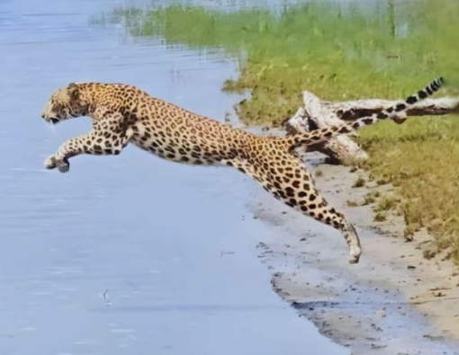 Who does she think she is?