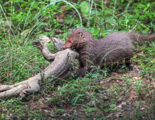 Oi! No photos until I’ve finished lunch!