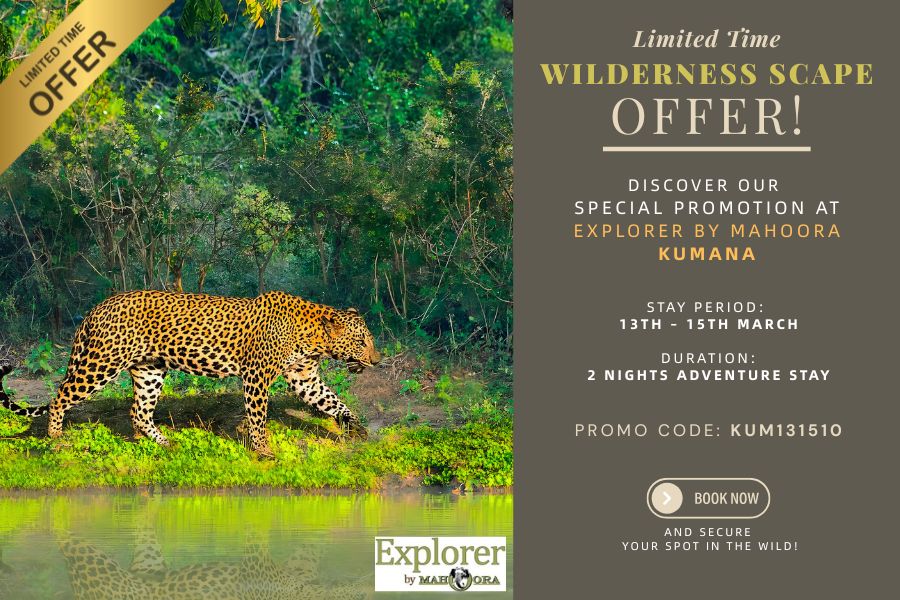 Wilderness Scape offer