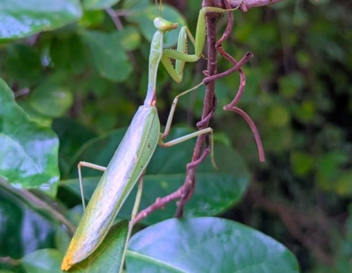 Be still… and the world will come to you