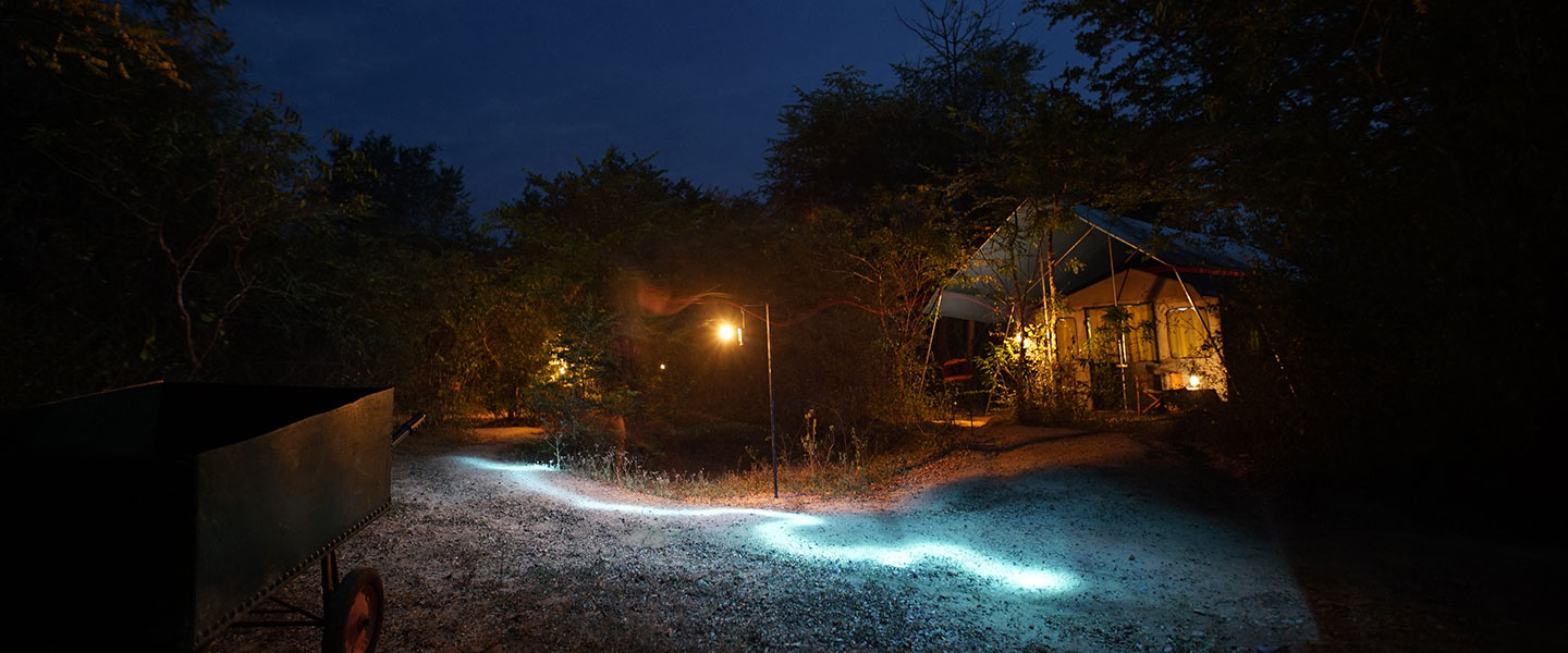 mahoora tented safari camps yala national park sri lanka